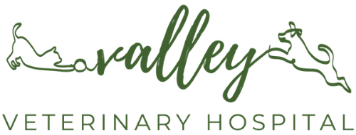 Valley Veterinary Hospital logo - white