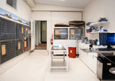 Valley Veterinary Hospital Interior