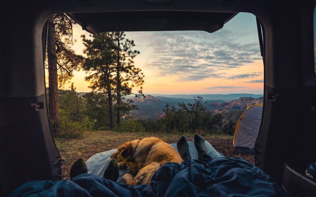 Essential Camping Safety Tips for Pet Owners